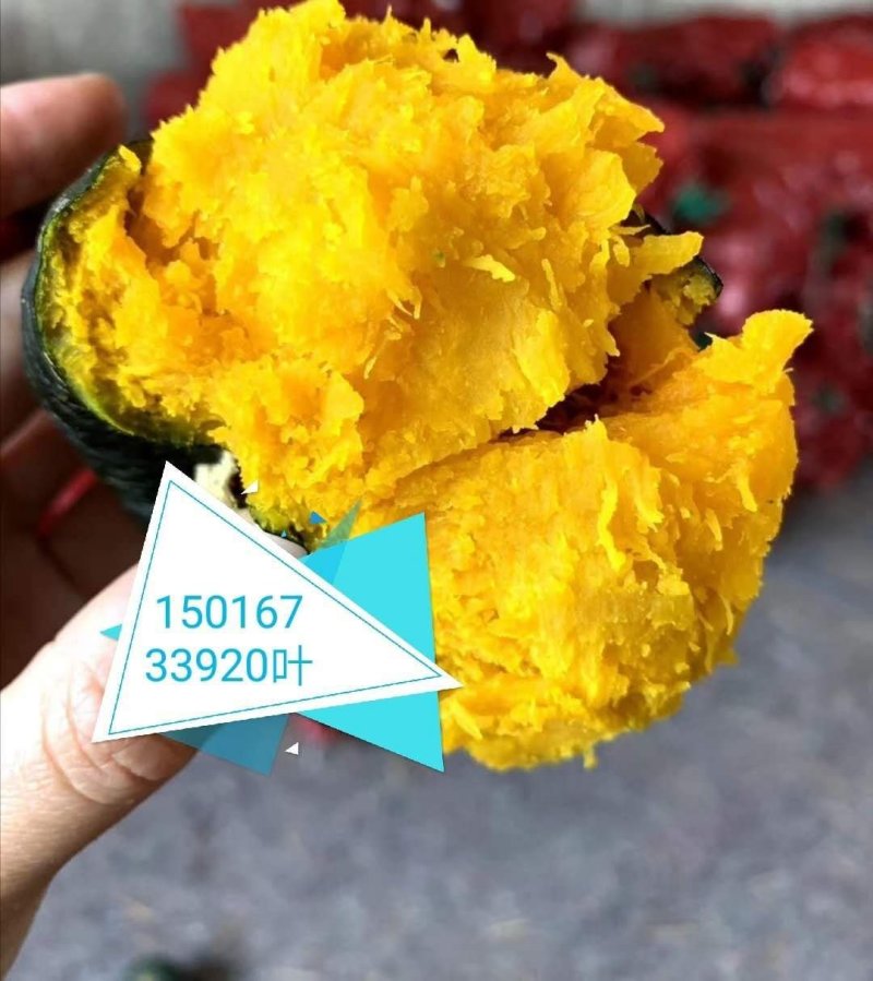板栗南瓜