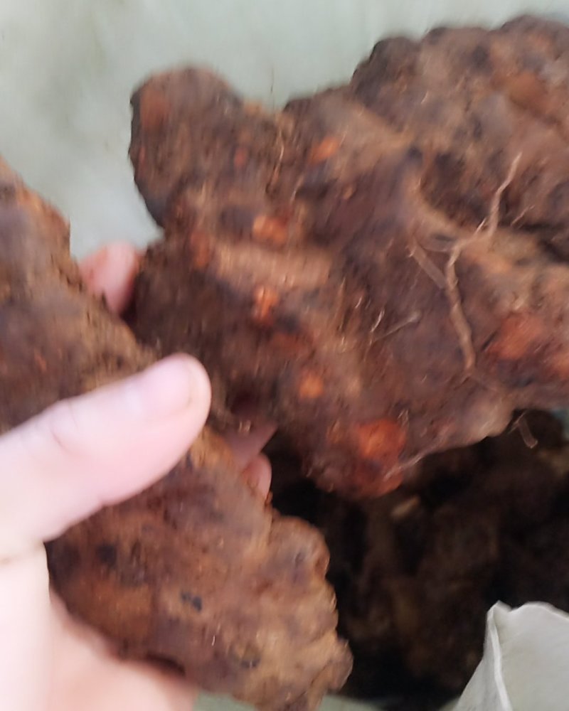 云南中土皮色漂亮看得见，规格靓。