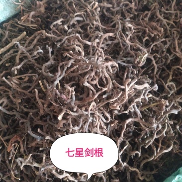 七星剑～根～10公斤包邮～质量好价格优惠欢迎咨询