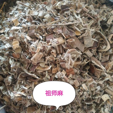 祖师麻～新货~一手货源诚信合作～10公斤包邮～