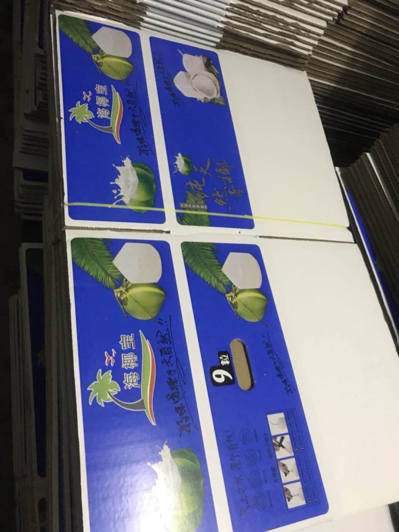 海南椰子