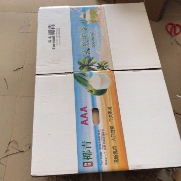 海南椰子