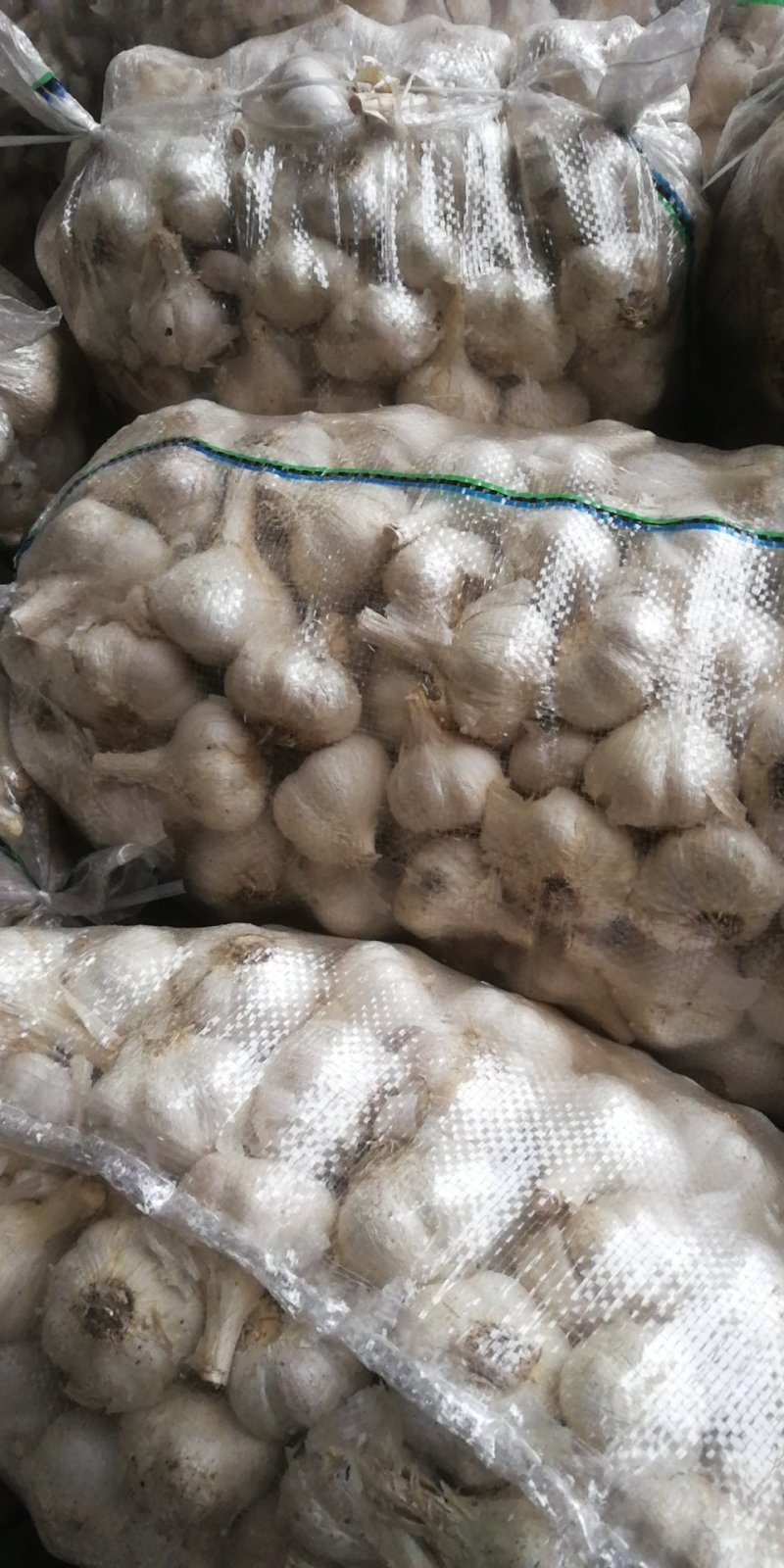 山东苍山大蒜大量供应量大从优四六瓣白皮大蒜欢迎来电咨询