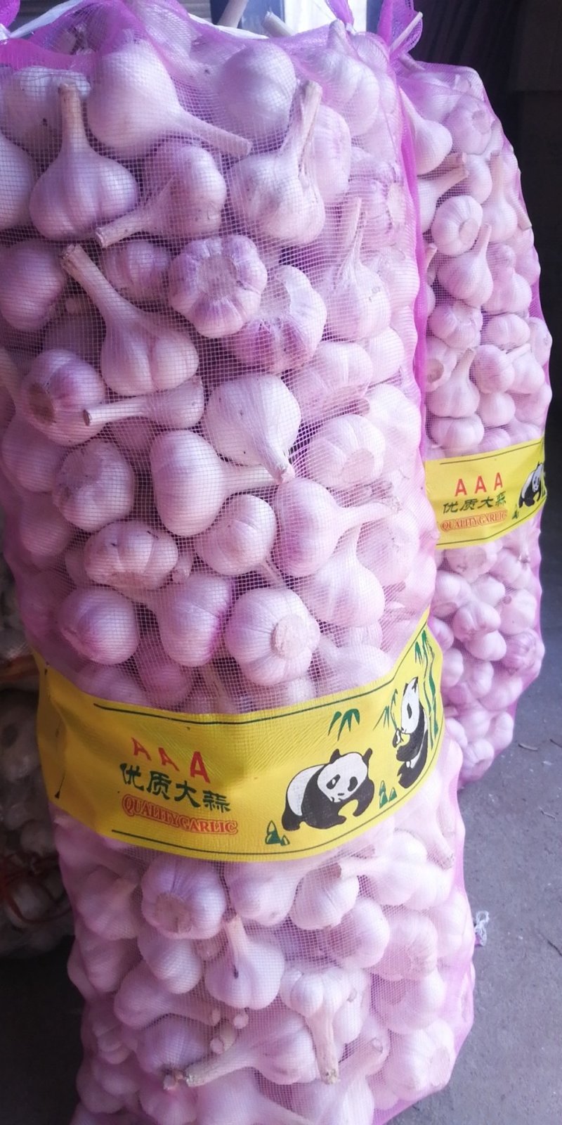 山东苍山大蒜大量供应量大从优四六瓣白皮大蒜欢迎来电咨询