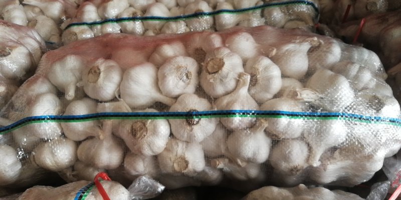 山东苍山大蒜大量供应量大从优四六瓣白皮大蒜欢迎来电咨询