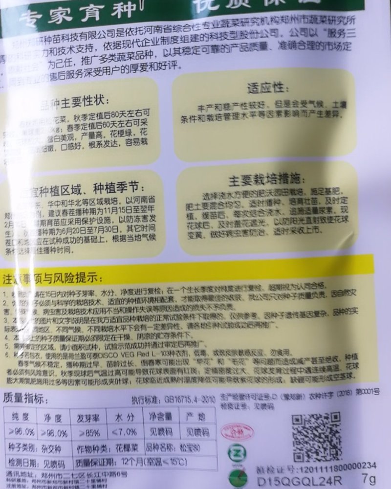 松宝80青梗松花，春秋两用，花球松大秋季定植后80天，