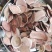鹿茸血片、鹿场直销包邮(除偏远地区外)