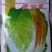 黄尚皇红心彩色大白菜，营养丰富生育期65天
