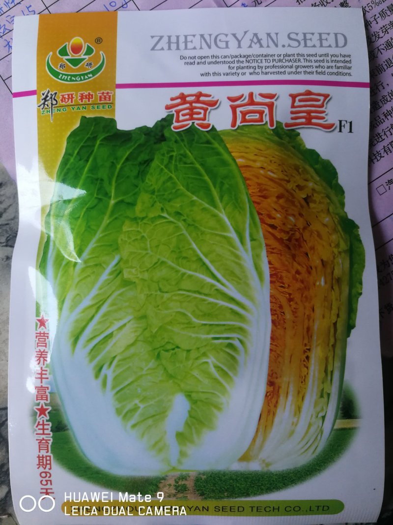黄尚皇红心彩色大白菜，营养丰富生育期65天