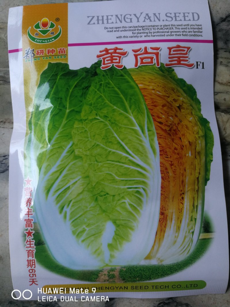 黄尚皇红心彩色大白菜，营养丰富生育期65天