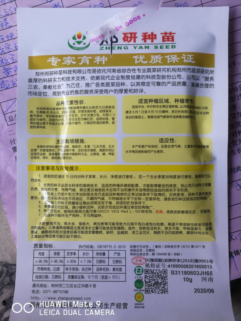 黄尚皇红心彩色大白菜，营养丰富生育期65天