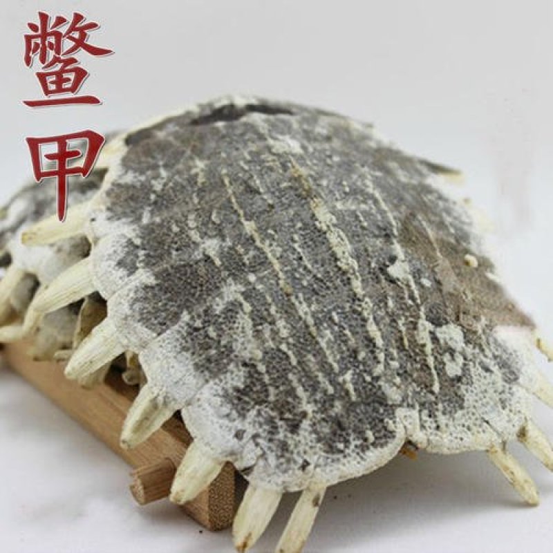 鳖甲制鳖甲醋鳖甲正品无下甲可供实体店批发零售