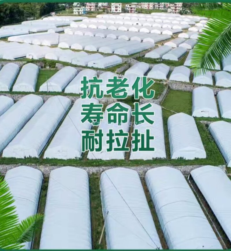 绿白膜食用菌棚防晒反光隔热