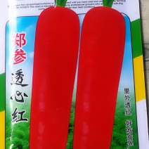 透心红胡萝卜，里外透红，好吃高产。