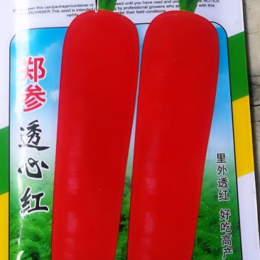 透心红胡萝卜，里外透红，好吃高产。