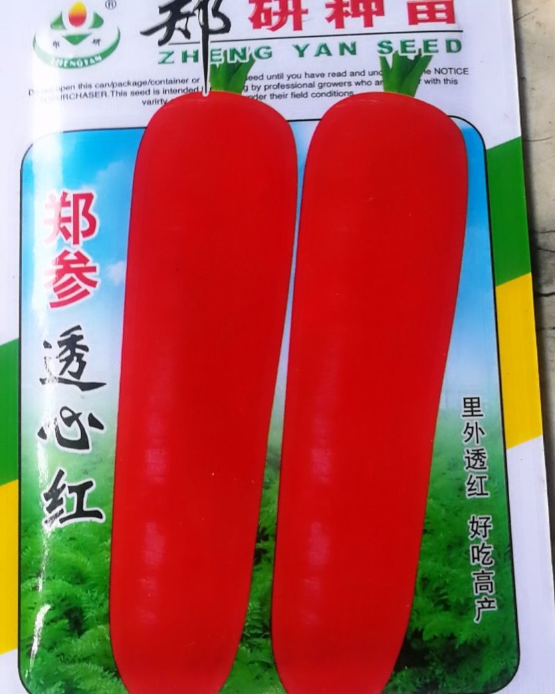透心红胡萝卜，里外透红，好吃高产。