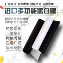 黑白膜养殖大棚冬暖夏凉隔热膜优惠价已让利民