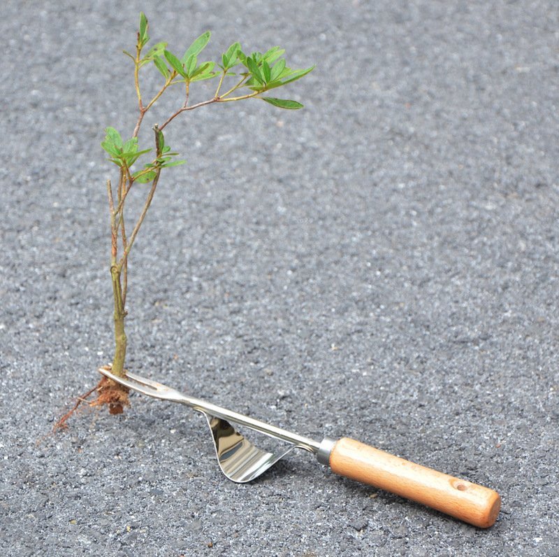 拔草挖草挖野菜神器松土移栽起苗器铲子手动除草园艺工具