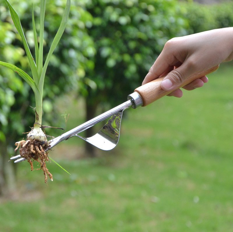 拔草挖草挖野菜神器松土移栽起苗器铲子手动除草园艺工具