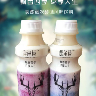 鹿角巷乳酸菌生产厂家，证件齐全，可上平台，品质值得信赖