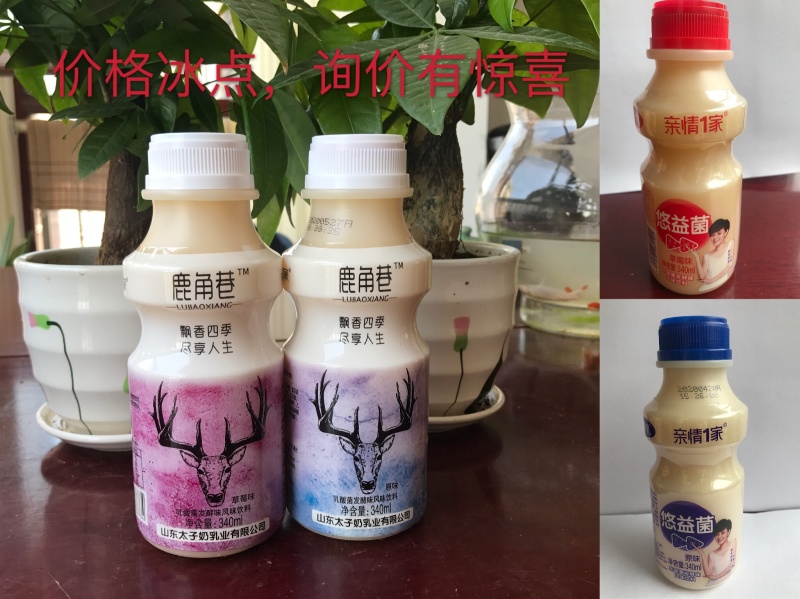 鹿角巷乳酸菌生产厂家，证件齐全，可上平台，品质值得信赖