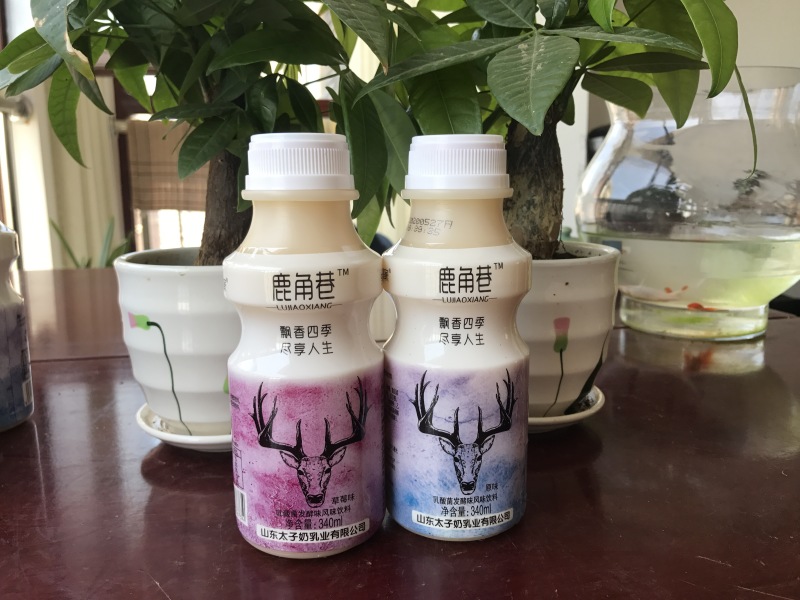 鹿角巷乳酸菌生产厂家，证件齐全，可上平台，品质值得信赖