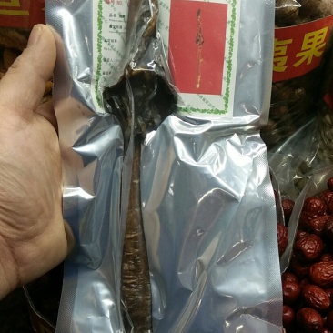 鹿鞭(鹿厂直销包邮)(除偏远地区外)
