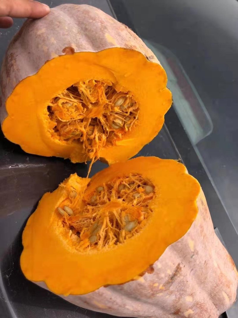 🎃金韩密本代收/代发/代配返程车辆