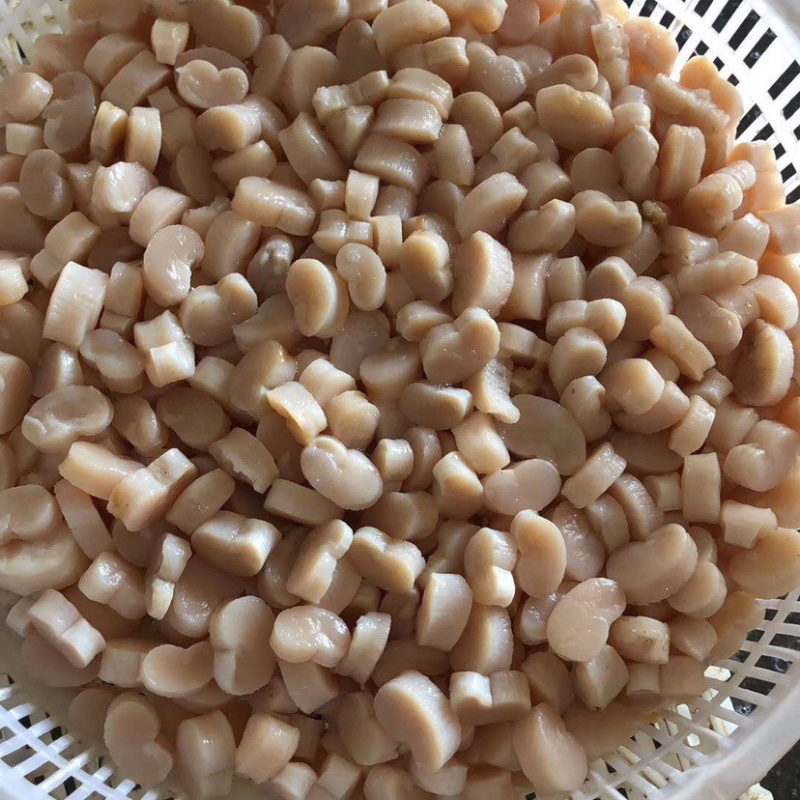 精品带子肉绿贝肉鲜贝肉货量充足产地直销