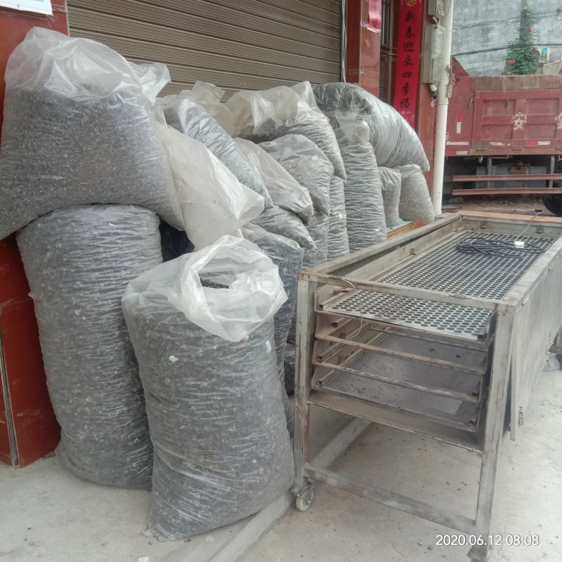 木耳疙瘩次品木耳药厂用次品