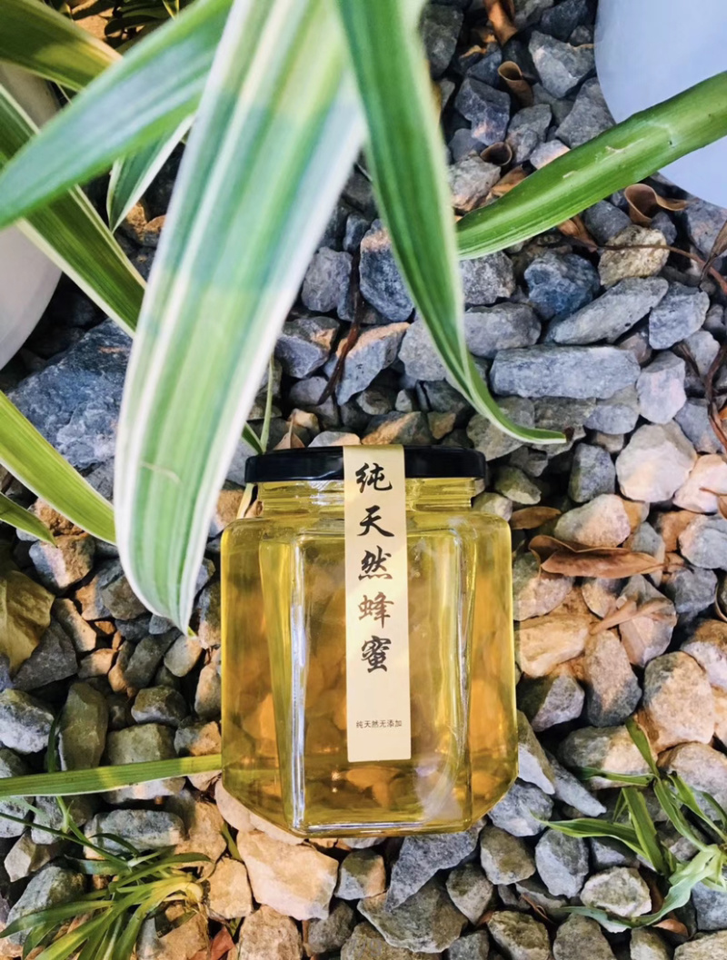 正宗吉林长白山蜂蜜，椴树蜜，百花蜜