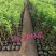 鸡心果容器苗锦绣海棠树苗矮化鸡心果耐寒果树