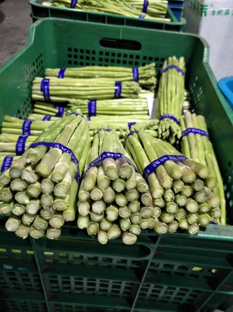 芡实杆精品新鲜，鸡头梗量大优惠产地直销一手货源
