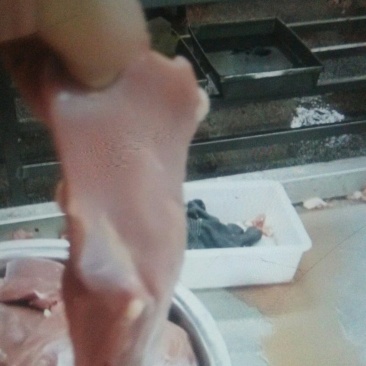 不带皮鸭胸肉（六和产品值得信赖）一箱20斤