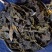 昆布昆布干无硫当季新货支持药检承接订单