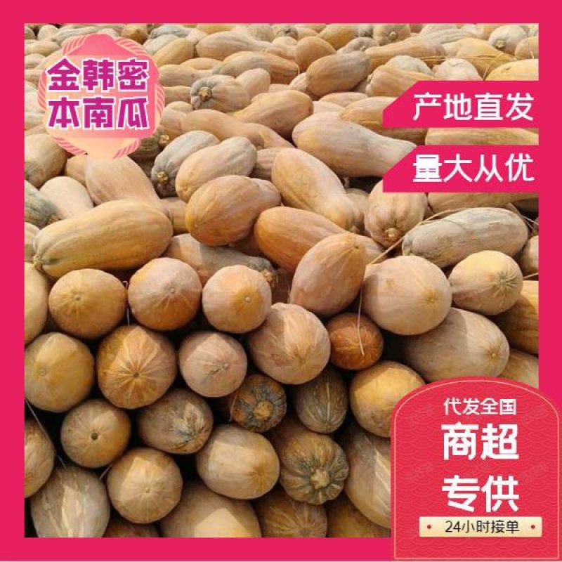 湖北金韩蜜本南瓜五斤以上，产地直销，保质保量