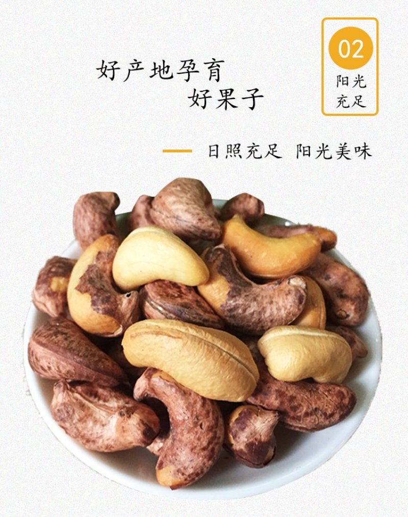 越南腰果，一件代发