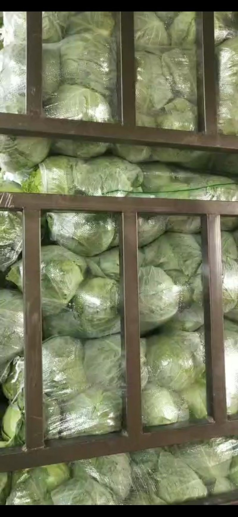 山西新鲜甘蓝2斤左右产地批发大量上市价格从优