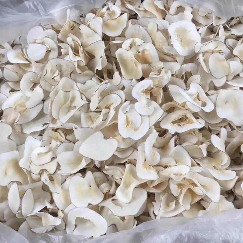 海底椰片泰国海底椰片无硫煲汤靓料大量现货批发