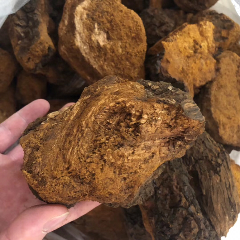桦树茸正品野生桦褐孔菌茶天然白桦茸桦树泪500g包邮