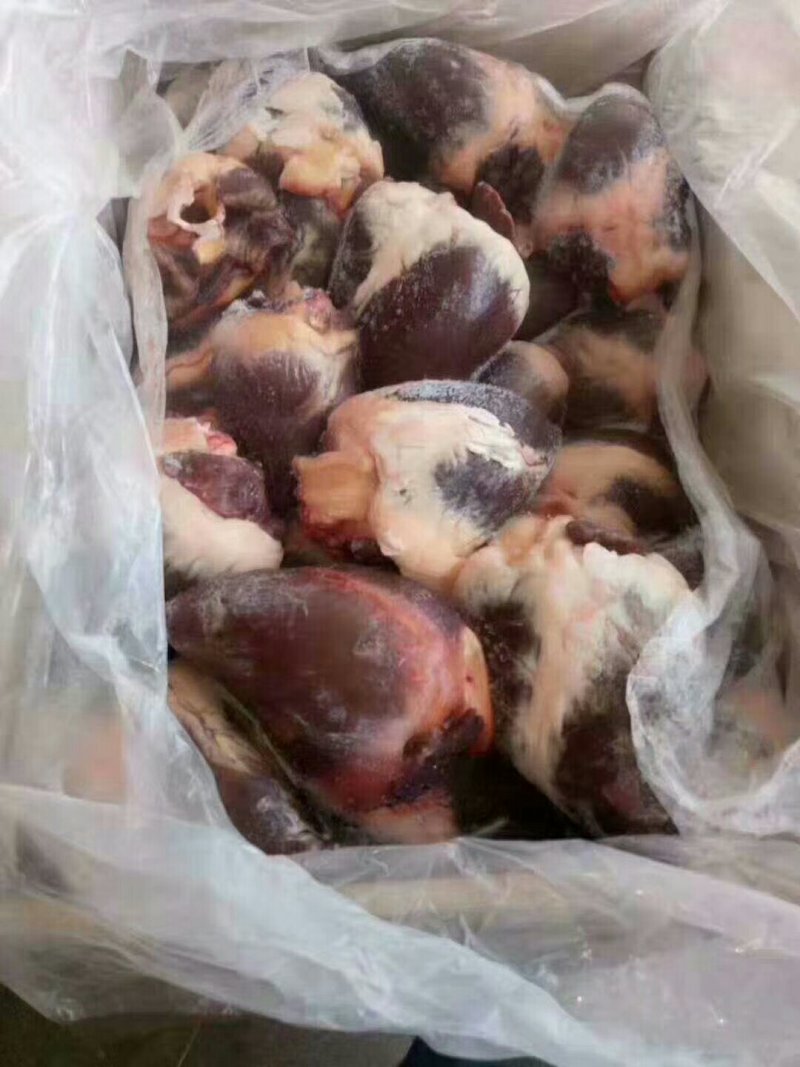 驴肉欢迎选购优质驴肉马肉驴板肠