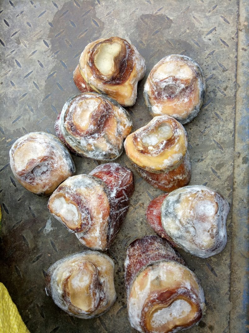 驴肉欢迎选购优质驴肉马肉驴板肠