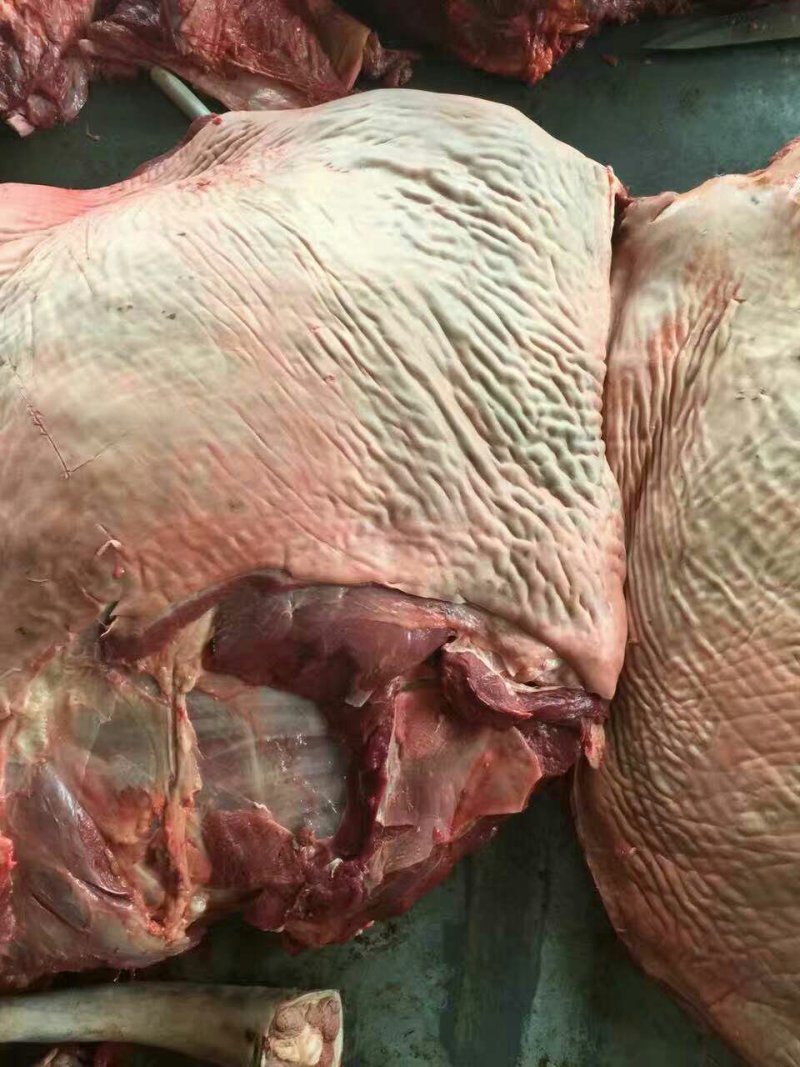 驴肉欢迎选购优质驴肉马肉驴板肠等