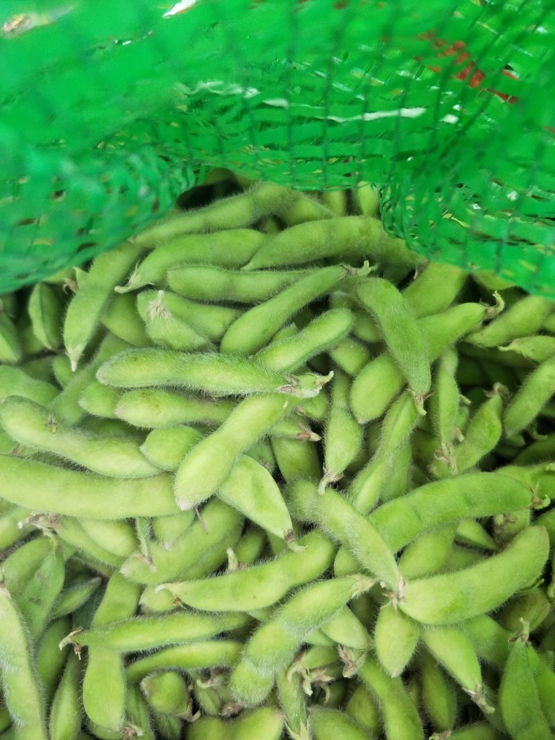 毛豆