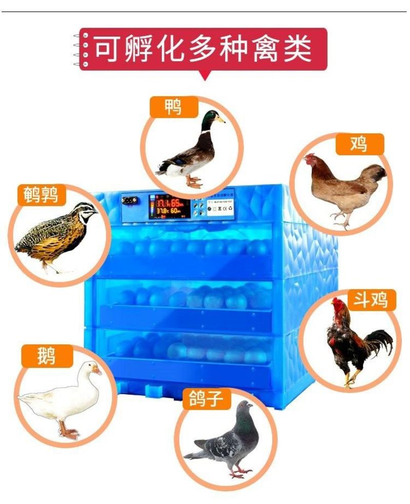【一件代发】智能家用全自动小型孵化机鸡鸭鹅孵化器包邮