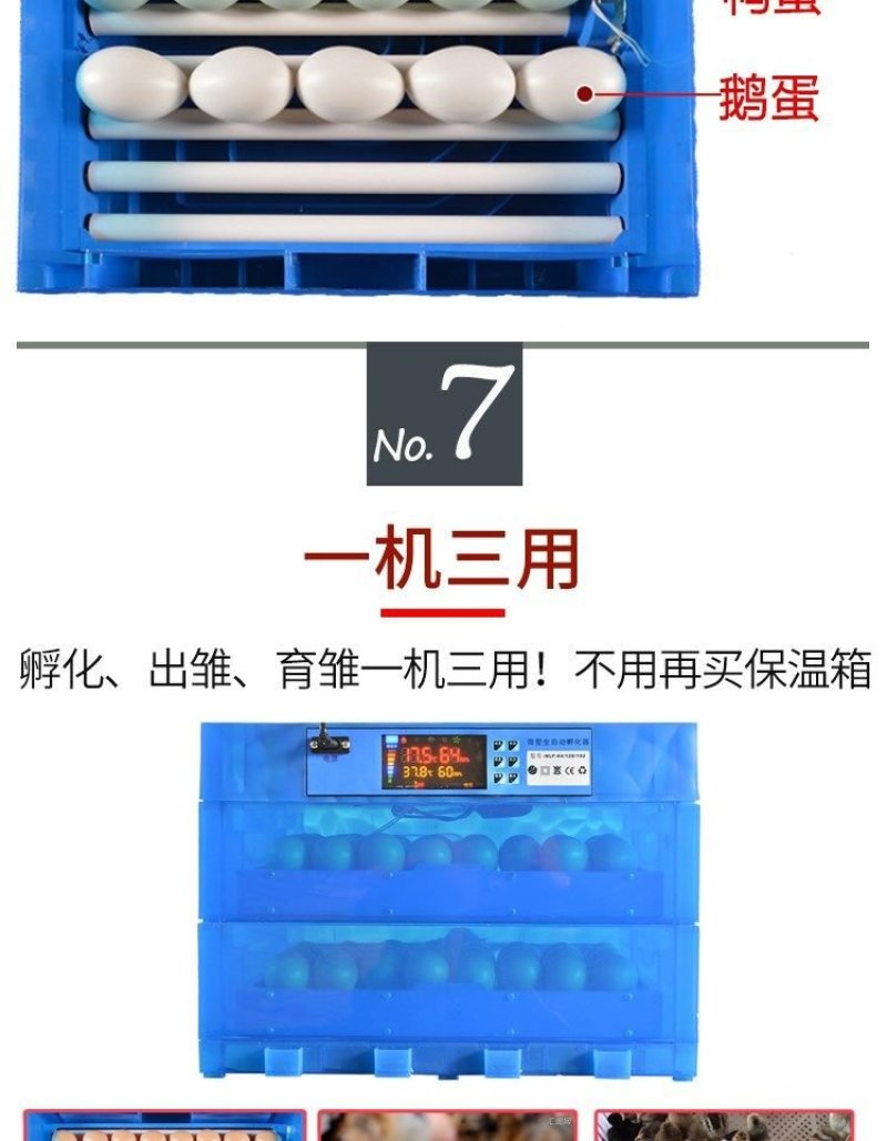 【一件代发】智能家用全自动小型孵化机鸡鸭鹅孵化器包邮