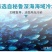 鱼粉批发高蛋白秘鲁进口鱼粉宠物鸡鸭鹅猪鱼虾蟹饲料鱼粉