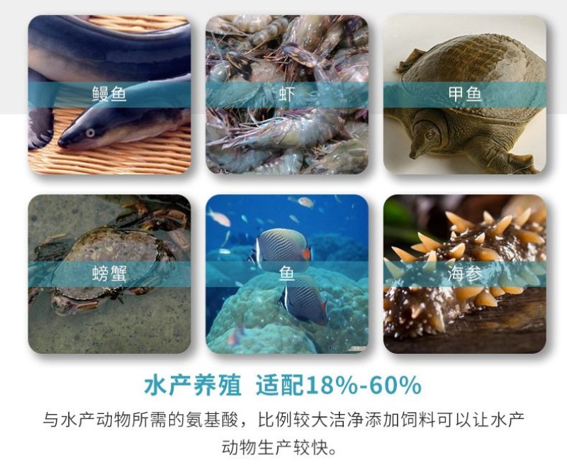 鱼粉批发高蛋白秘鲁进口鱼粉宠物鸡鸭鹅猪鱼虾蟹饲料鱼粉