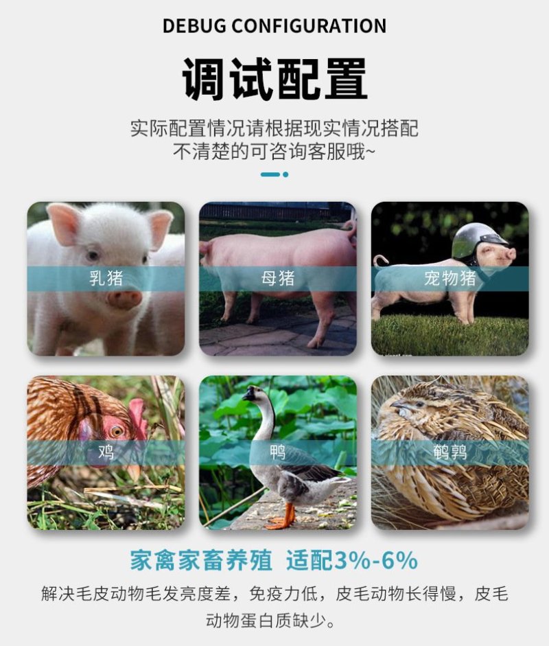 鱼粉批发高蛋白秘鲁进口鱼粉宠物鸡鸭鹅猪鱼虾蟹饲料鱼粉