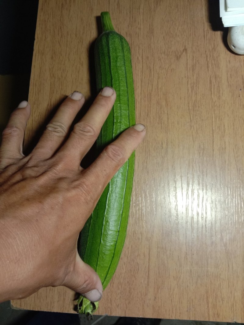 丝瓜